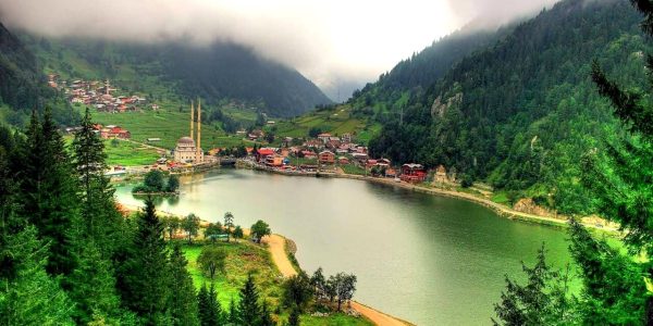 f522bd138c926ba59627d04d8a81796f6d0246b9